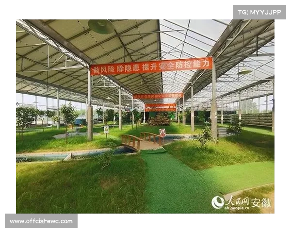 海港新主场光伏顶棚启用年发电量满足场馆30%需求助力绿色体育发展